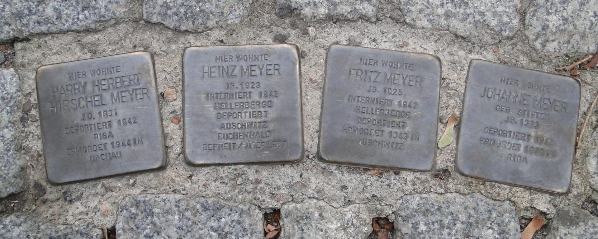 Stolpersteine Familie Meyer DresdenStolpersteine Familie Meyer Dresden